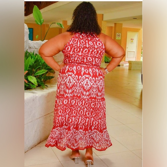 Mlle Gabrielle 3X Red
 and White Sleeveless Maxi Dress - Picture 6 of 13